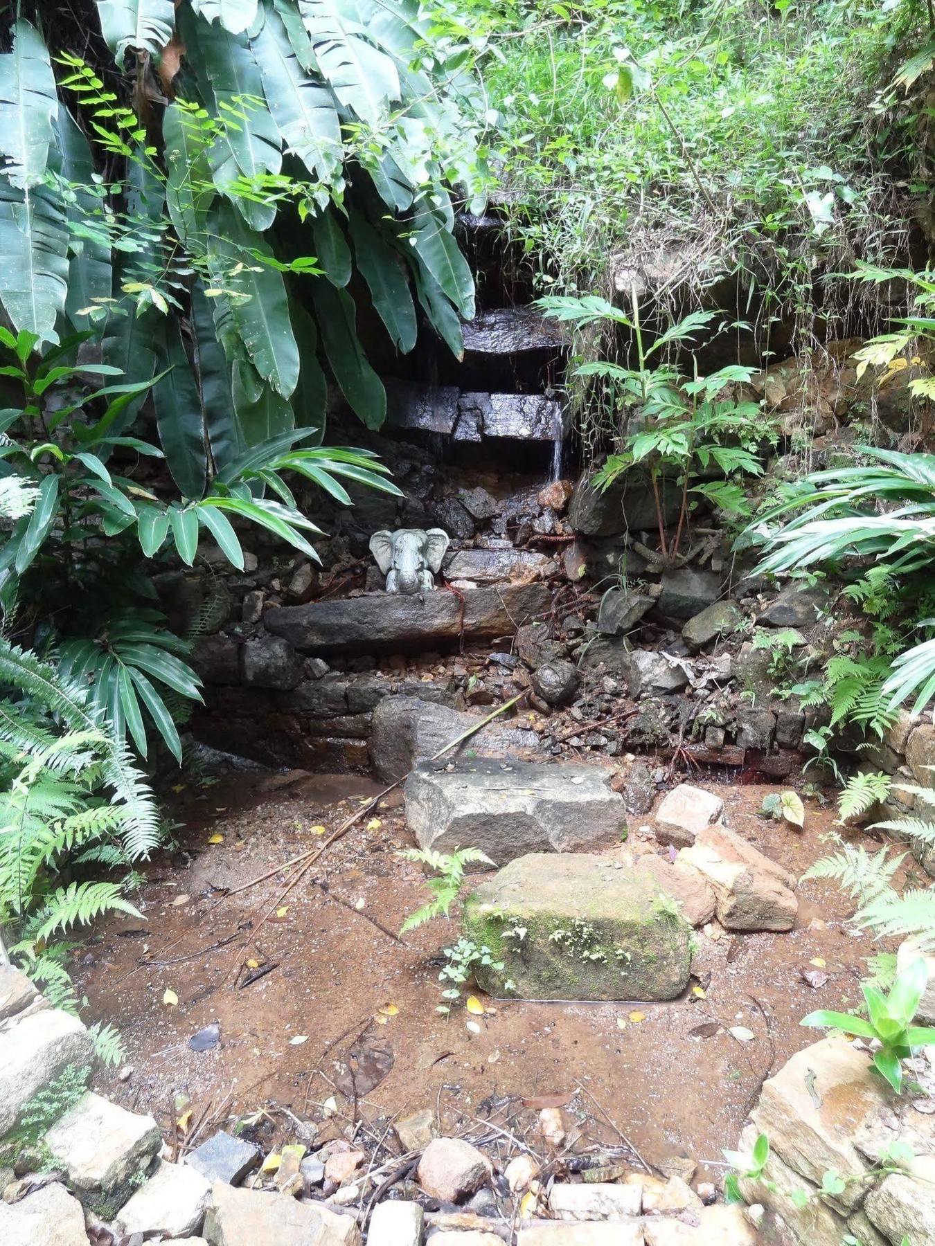 Strathisla Tea Estate Bungalow Matale Extérieur photo